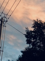 FEF955DC-B8C9-4CF2-A940-59F015364585/L0/001