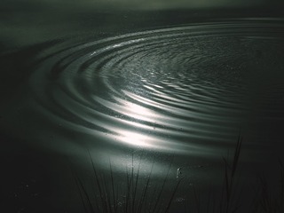 630BD4BB-B448-4B7A-AB4D-81DCE7E47E9E/L0/001