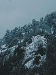 6C2FF760-C7E8-431E-A6EB-C25356876F6C/L0/001