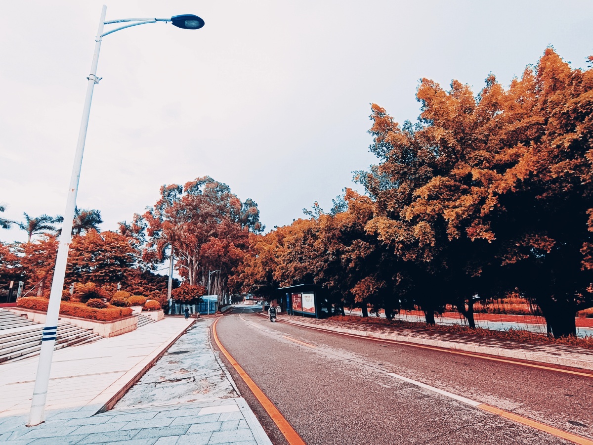 不知道这个色彩会不会有人喜欢