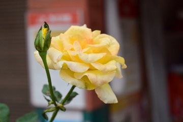 C7595603-3F44-4560-958F-092103E131F9/L0/001