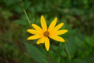 2C7565DA-C533-4F5A-BC93-CB77AC609305/L0/001
