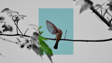 001