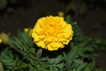 9BE910CB-95BE-438A-BDE7-AB3FA7F6753F/L0/001