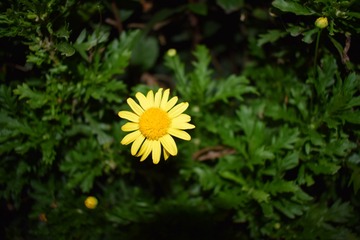 273D8A84-E6FA-44E4-B2E2-D7E680621923/L0/001