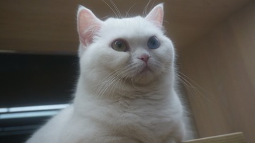39175