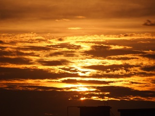 2D19DED0-1338-4B5A-B578-92078D71C6A7/L0/001