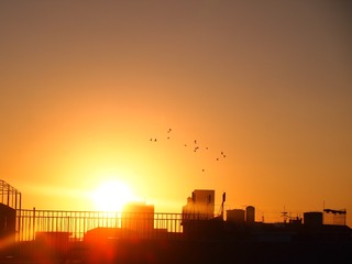 61E1DC27-3DF1-4B62-83EB-0C9CE0C979DA/L0/001