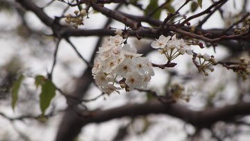 E33663AB-9EFF-4351-9616-2C8D3300B626/L0/001