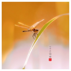 C7546022-7F65-40AD-A815-8D9B593CFE72/L0/001