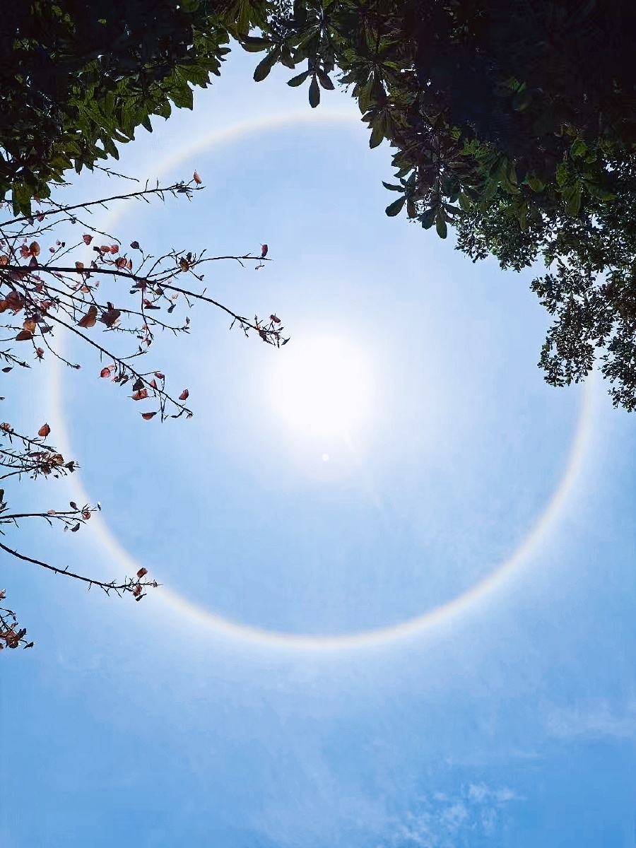 今天的太阳有点特别