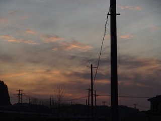 154561