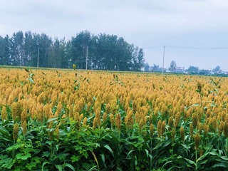 079C7A00-918F-4A9C-B0F4-52F0FA759326/L0/001