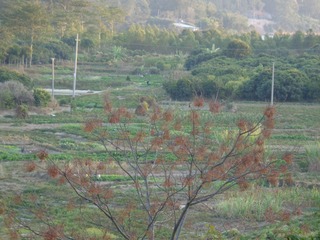 116DDA38-56A4-41F0-9D24-2FB9D83B5364/L0/001