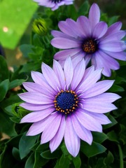 3D48EE57-E015-49BB-B2CF-2F5D6C8B4993/L0/001