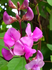4E0365EB-D8F7-42F7-9EA4-0142551D45F7/L0/001