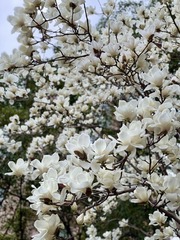 3A187CBF-39B0-42FD-B779-7437AEE27AC9/L0/001