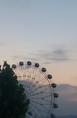 1366977