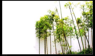 直节堂堂