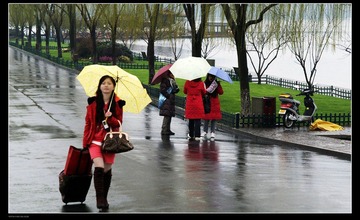 雨中MM