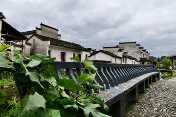 DB09847B-50E7-40BA-9061-6459D59FF330/L0/001