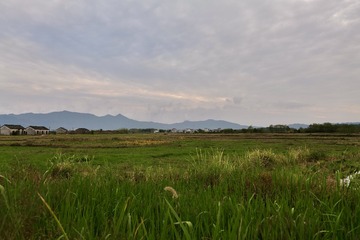 18C32FCC-2425-49A1-A254-C2DC19D65877/L0/001