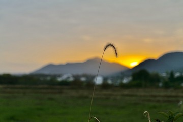 312C15B3-B091-4BF5-939A-60B50F3FC601/L0/001