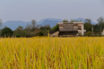37EDD3C8-8B9E-41AB-87E7-54CEB07B2D5A/L0/001
