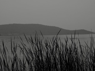 73F257B4-0F36-4A9B-8252-6516961F6543/L0/001