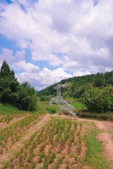 B8B3D1CC-1597-4A29-B001-58299B7AA58B/L0/001