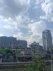 1000026439