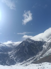 1000172243