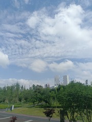 1000104764