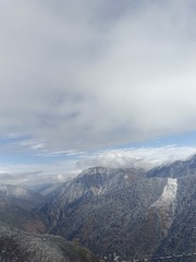 1000172258