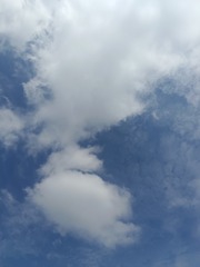 1000104761