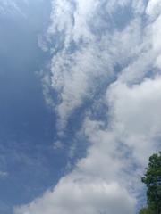 1000104765