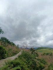 1000027567