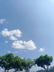 1000025880