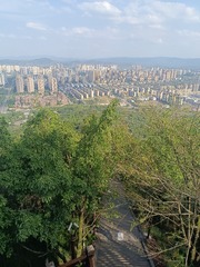 1000028274