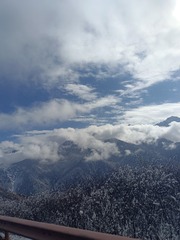 1000172253