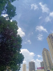 1000026450