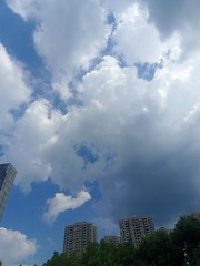 1000026448