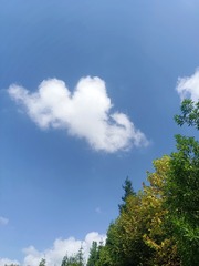 1000027686
