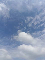 1000104762