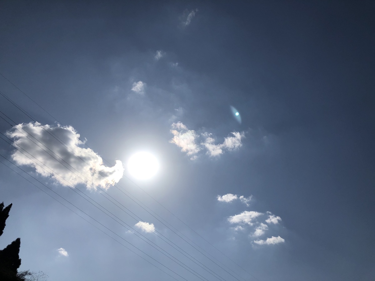 大雾四起偷偷藏匿我在无人处爱你