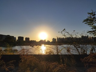 1403816