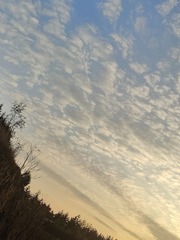 1000037357