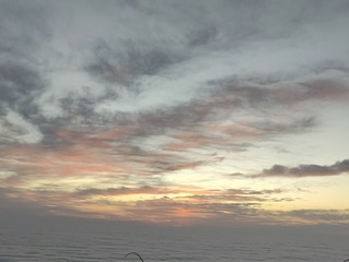 1000041224