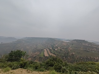 1000025822