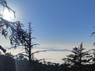 1000040825